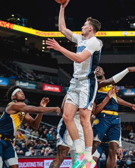 入了新的活 入了新的活