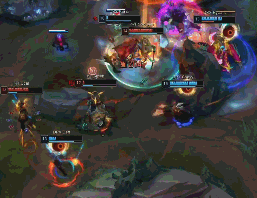 张伟丽经历 张伟丽经历